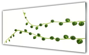 Tablou pe sticla Plante Ornamentale Floral Verde Alb