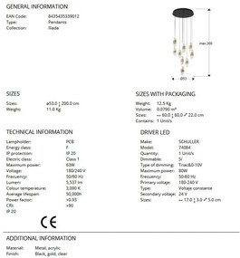 Lustra LED suspendata design elegant Iliada 9L