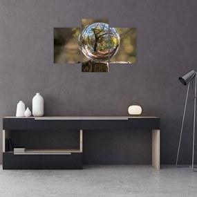 Tablou - Reflecție intr-o sferă transparentă (90x60 cm)