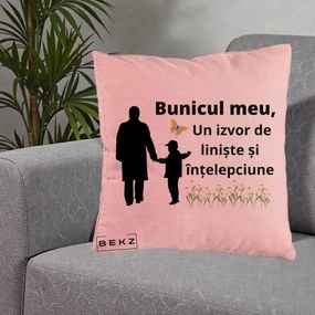 Cadou pentru Bunic - Perna Personalizata Bunicul Meu Izvor de Liniste cu Fluture si Baietel, 40x40 cm, Roz, Husa Detasabila, Perna Inclusa, BEKZ®