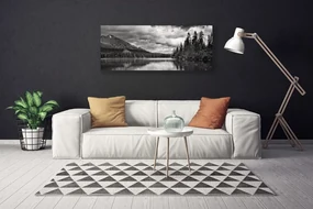 Tablou pe panza canvas Mountain Forest Lake Nature Gray