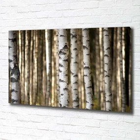 Tablou canvas Mesteceni