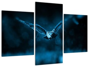 Tablou cu bufnița zburând (90x60 cm)