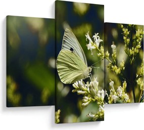 Tablou cu fluture (90x60 cm)