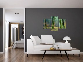 Tablou cu pădure (90x60 cm)