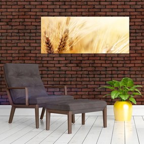 Tablou- detaliu cu (120x50 cm)