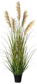 Iarbă artificială Proso, 122 cm, verde-maro