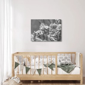 Tablou pe sticlă - Flori uscate (70x50 cm)