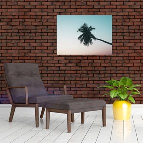Tablou - Palmier la Bali (70x50 cm)