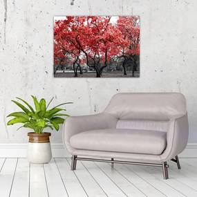 Tablou pe sticlă - Copacii roșii, Central Park, New York (70x50 cm)