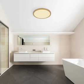 Plafonieră LED dimabilă pentru baie Globo 41562-24MM SAPANA LED/24W/230V IP44