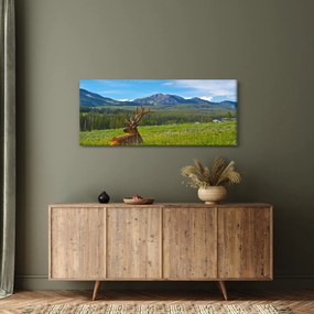 Tablou - Cerb în luncă (120x50 cm)