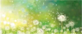 Tablou - Păpădie înflorită (120x50 cm)