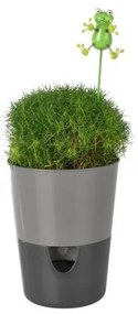 Ghiveci cu auto-irigare Plastia Rosmarin,  gri
