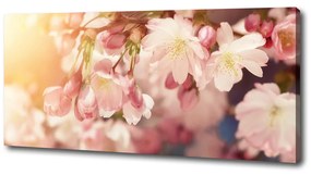 Print pe canvas Flori de cireș