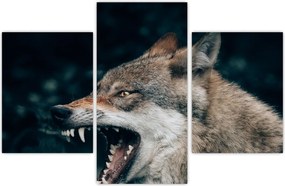 Tablou cu lup (90x60 cm)