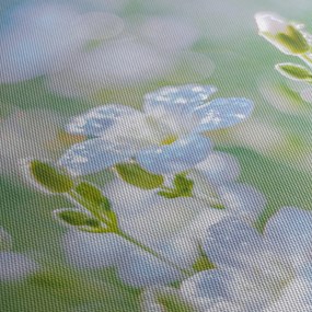 Tablou - Flori delicate (90x60 cm)