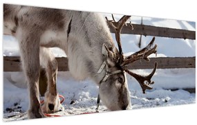 Tablou - Sâmbătă (120x50 cm)
