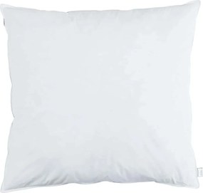 vidaXL Pernă cu pernă 2 pcs Alb 60 x 60 cm Pene