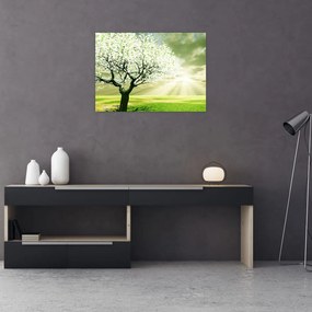 Tablou pe sticlă cu copaci pe luncă (70x50 cm)