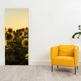 Fototapet pentru ușă - Câmpul cu floarea soarelui (95x205cm)