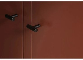 Cârlige alămii 2 buc. de montat pe perete din metal Rof – Blomus