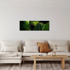 Tablou - Șarpele verde (cu ceas) (90x30 cm)