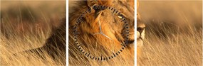 Tablou - Parcul Național Etosha (cu ceas) (90x30 cm)