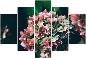 Tablou - Hortensie (150x105 cm)