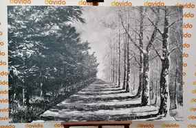 Tablou alee copacilor de toamnă în design alb-negru