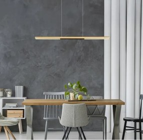 Globo 17018G - Lustră LED suspendată pe cablu CODY LED/24W/230V 3000K
