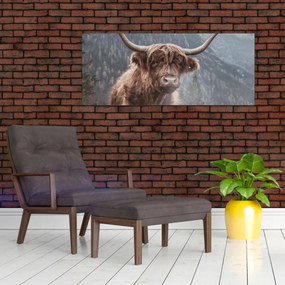 Tablou - Vaca Highlander (120x50 cm)