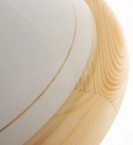 Rabalux 5421 - Plafoniera UFO 2xE27/60W/230V