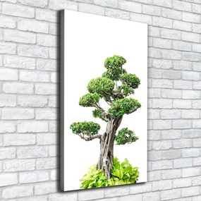 Pictură pe pânză Copac bonsai