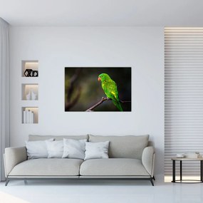Tablou cu papagal pe greangă (90x60 cm)