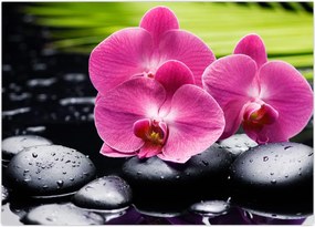 Tablou - Orhidee roz cu frunze de palmier (70x50 cm)