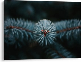 Tablou -Crenguțe ale unui conifer (70x50 cm)