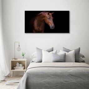 Print pe canvas Cal maro