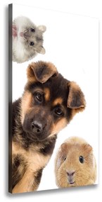 Pictură pe pânză Animale de companie