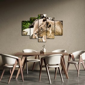 Tablou cu leoaică (150x105 cm)