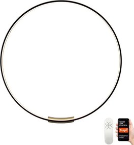 Immax NEO 07245-80 Lumină LED FINO 50W 230V 80cm Tuya cu dimmer și DO