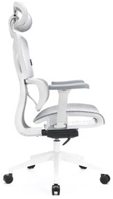 Scaun ergonomic de birou LEVANO gri/alb/negru