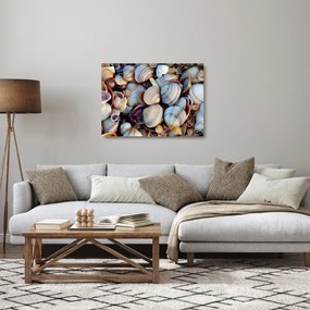 tablou cu scoici (70x50 cm)