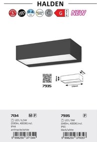 Aplica LED de perete pentru iluminat exterior IP65 Halden negru, alb