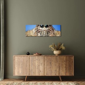 Tablou cu detalii a unui pâianjen (cu ceas) (90x30 cm)