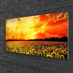 Tablouri acrilice Meadow Sunflowers Floral Verde Galben Maro