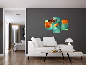 Tablou cu fluture (90x60 cm)