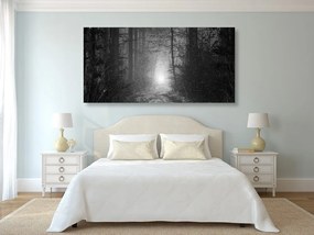 Tablou lumina în pădure în design alb-negru