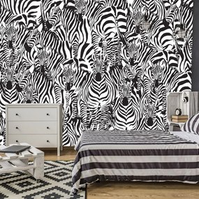 Fototapet - Zebra (254x184 cm)