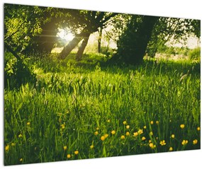 Tablou cu natura - lunca (90x60 cm)